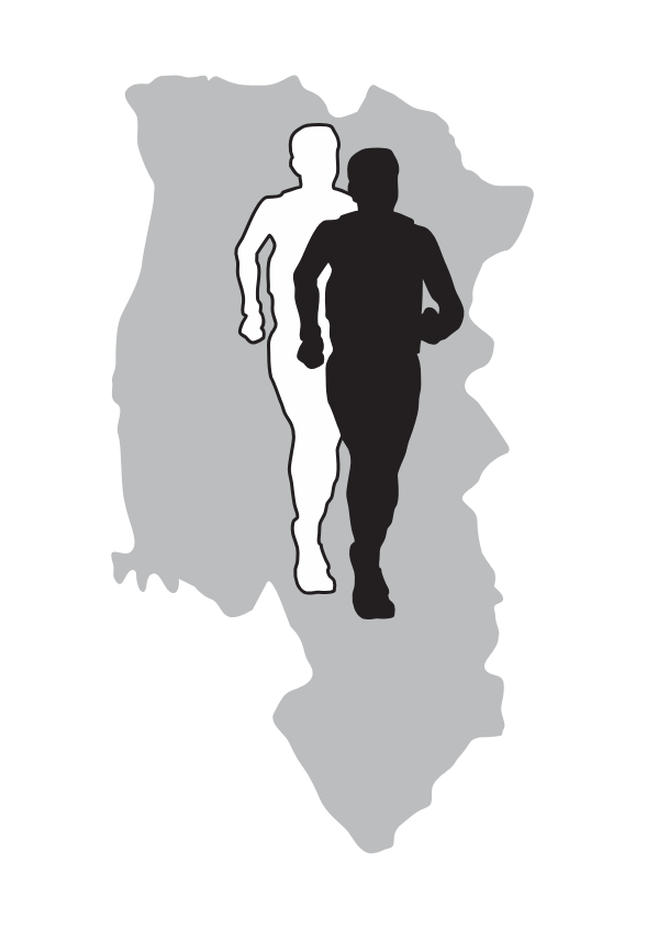 LFE Logografik ohne Schriftzug