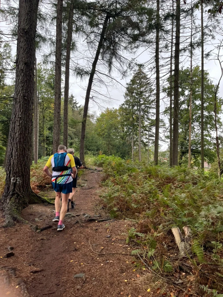 Zwei Personen joggen auf einem Waldpfad. Bäume umgeben den Weg und es ist ein bedeckter Tag.