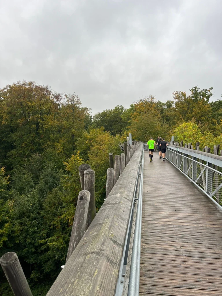 Personen joggen auf einem erhöhten Holzweg durch einen bewaldeten Park unter bewölktem Himmel.