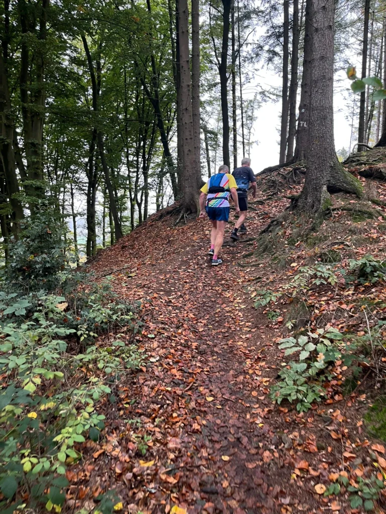 Zwei Personen wandern im bunten Herbstwald auf einem Laubweg bergauf.