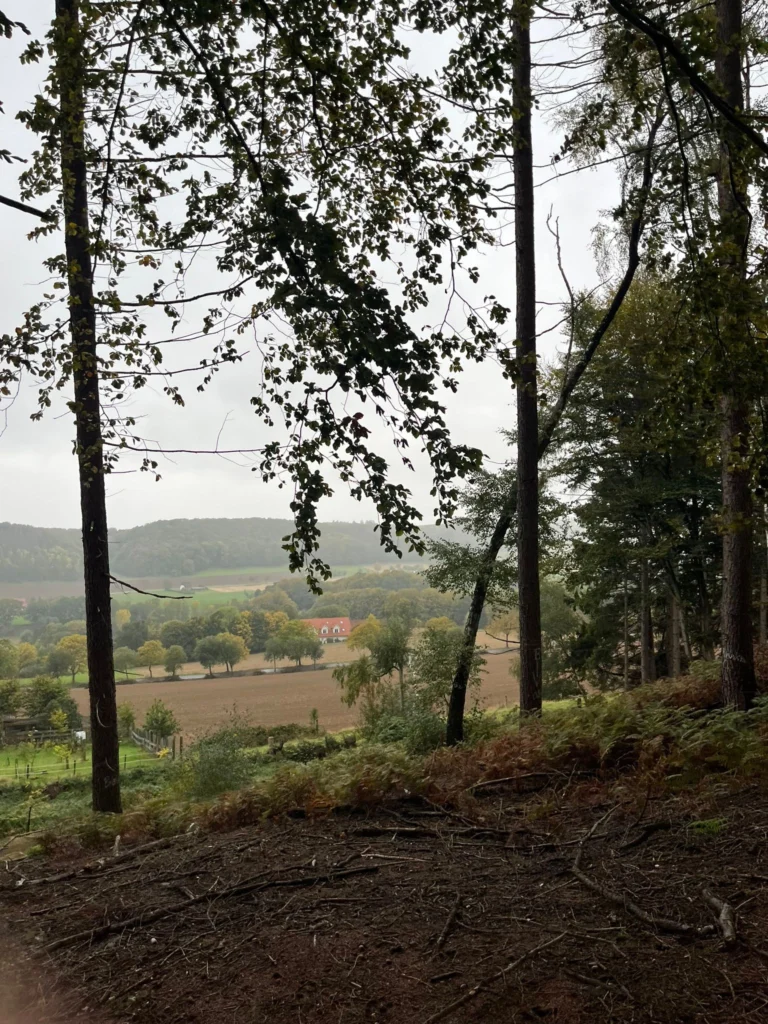 Blick aus dem Wald auf eine Landschaft mit Feldern und einem roten Haus im Hintergrund an einem bewölkten Tag.