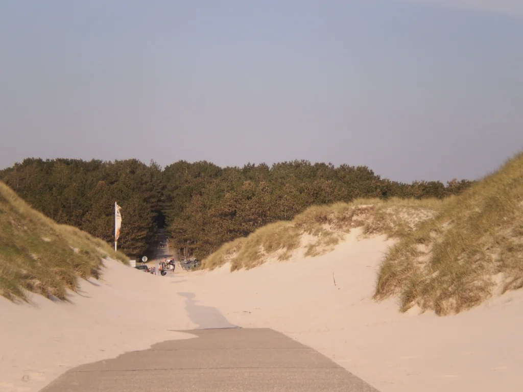 Sandweg zwischen Dünen, der zu einem Wald führt, mit einer Gruppe von Menschen im Hintergrund und einem Fahne, die im Wind weht.