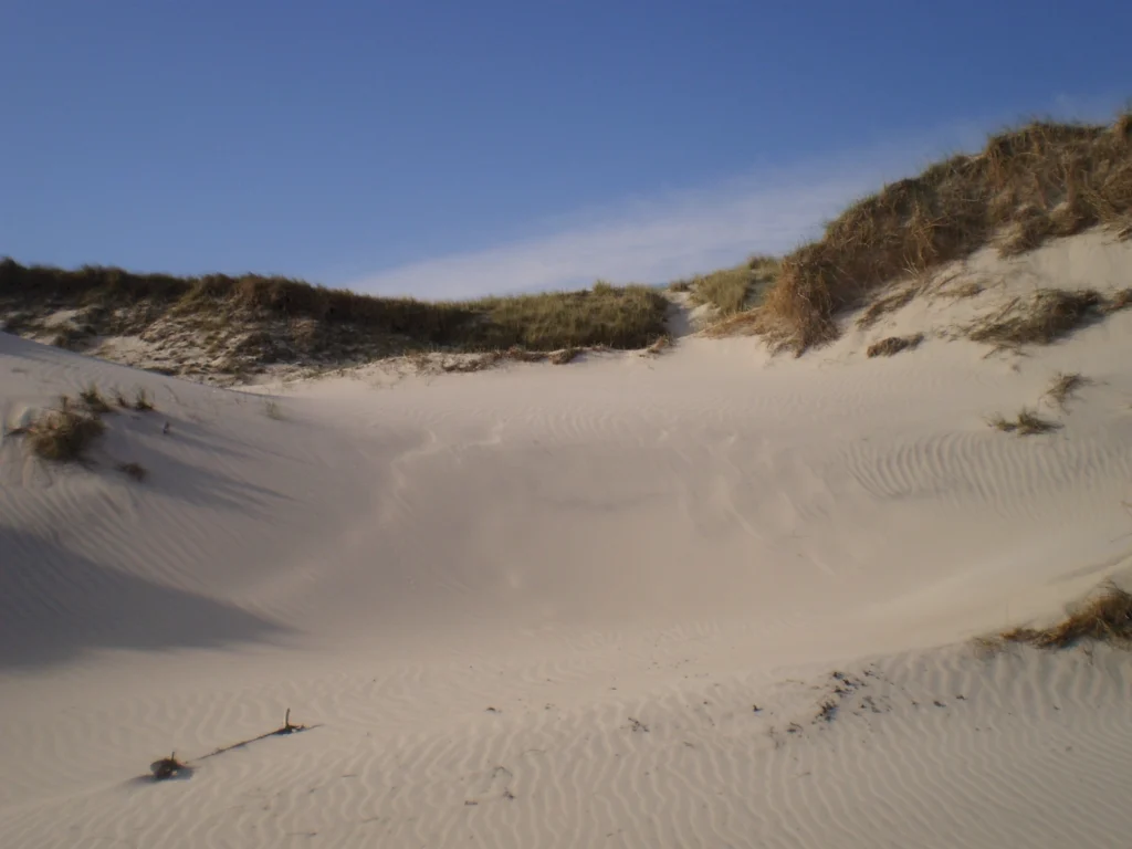 Sanddüne mit feinem, welligem Sand und Grasbewuchs unter einem klaren blauen Himmel.