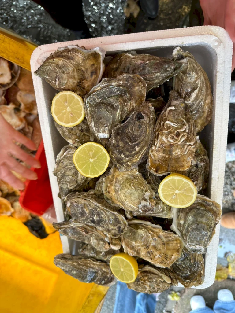 Frische Austern auf einem weißen Styroporbehälter mit Zitronenscheiben, präsentiert auf einem Markt.