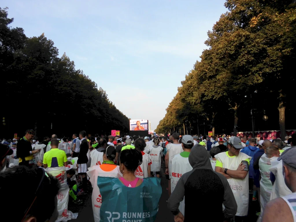 Marathonläufer bei Sonnenaufgang, umgeben von Bäumen, bereit für den Start.