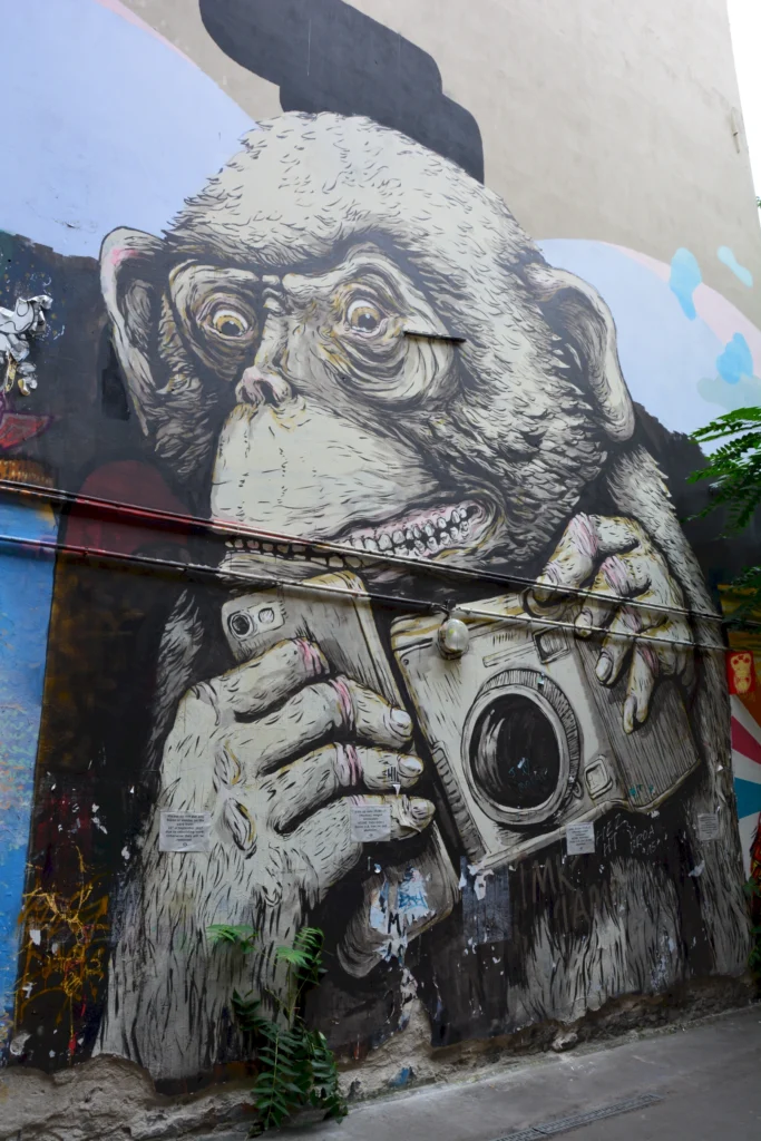 Wandgemälde eines Affen mit Kamera und Smartphone in urbaner Umgebung, Streetart-Kunstwerk in einer Stadt.