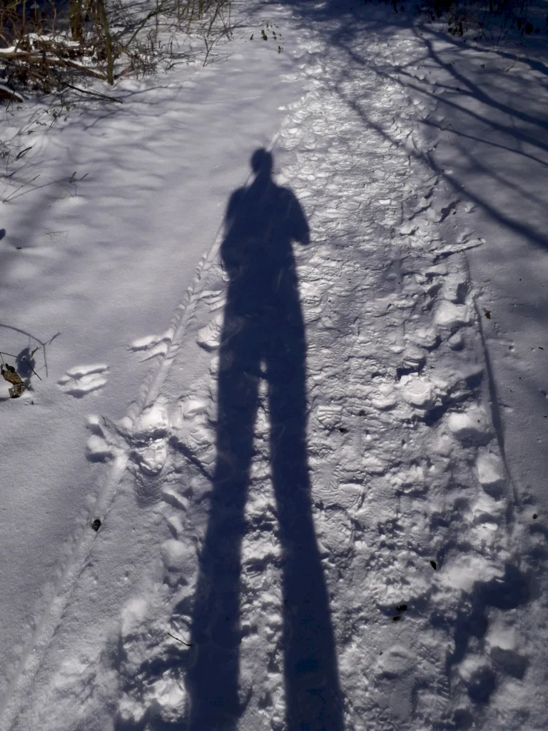 Schatten einer Person auf einem verschneiten Weg im Wald, umgeben von Bäumen und natürlicher Winterlandschaft.