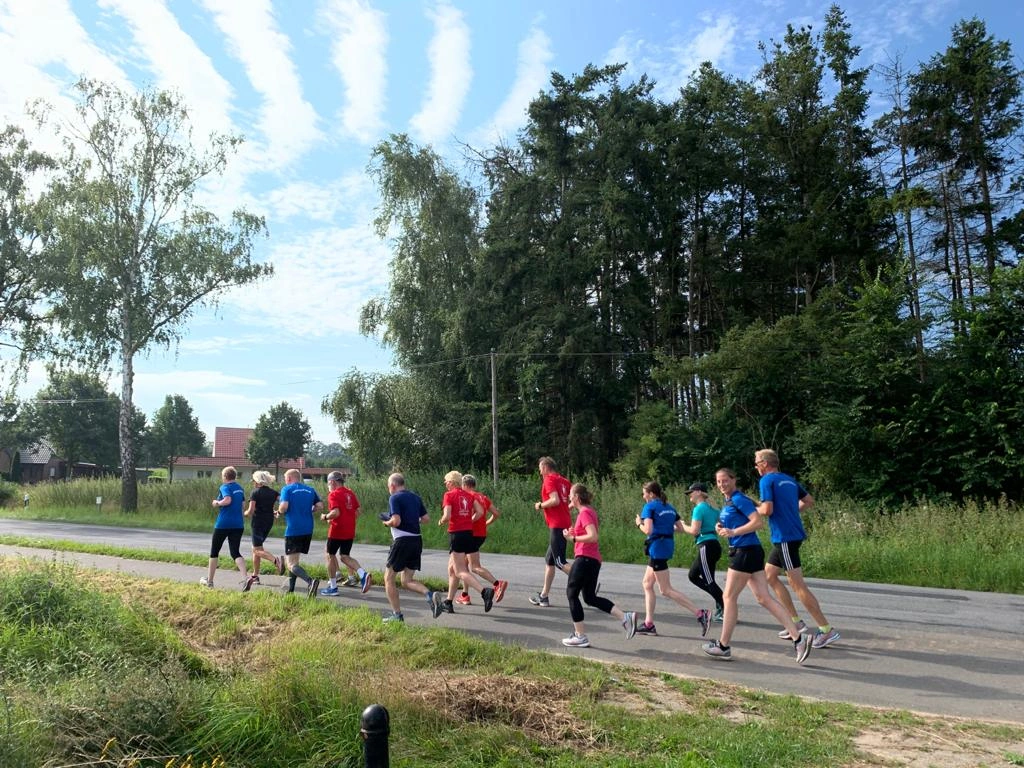 Gruppe von Läufern in Sportkleidung joggt entlang einer Landstraße, umgeben von Bäumen und Wiesen, an einem sonnigen Tag.