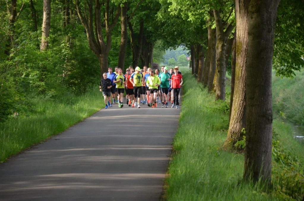 Eine Gruppe von Menschen joggt auf einem von Bäumen gesäumten Weg im Grünen.