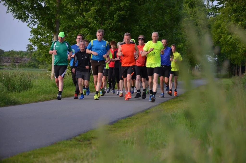 Gruppe von Läufern in bunten Shirts joggt auf einem Waldweg an einem sonnigen Tag in der Natur.