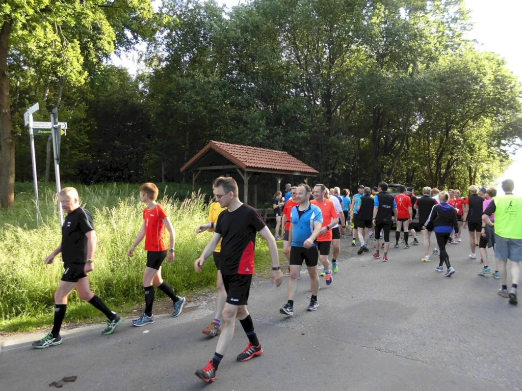 Gruppe von Menschen beim Joggen auf einer Landstraße, umgeben von Bäumen und Natur, an einem sonnigen Tag.
