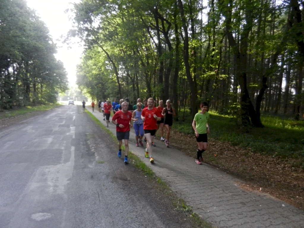 Gruppe von Läufern joggt auf einem Waldweg neben einer Landstraße an einem sonnigen Tag.