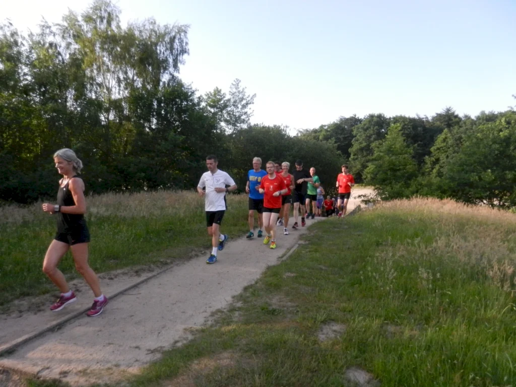 Gruppe von Läufern auf einem Naturpfad, umgeben von grünen Bäumen und Wiese, bei sonnigem Wetter.