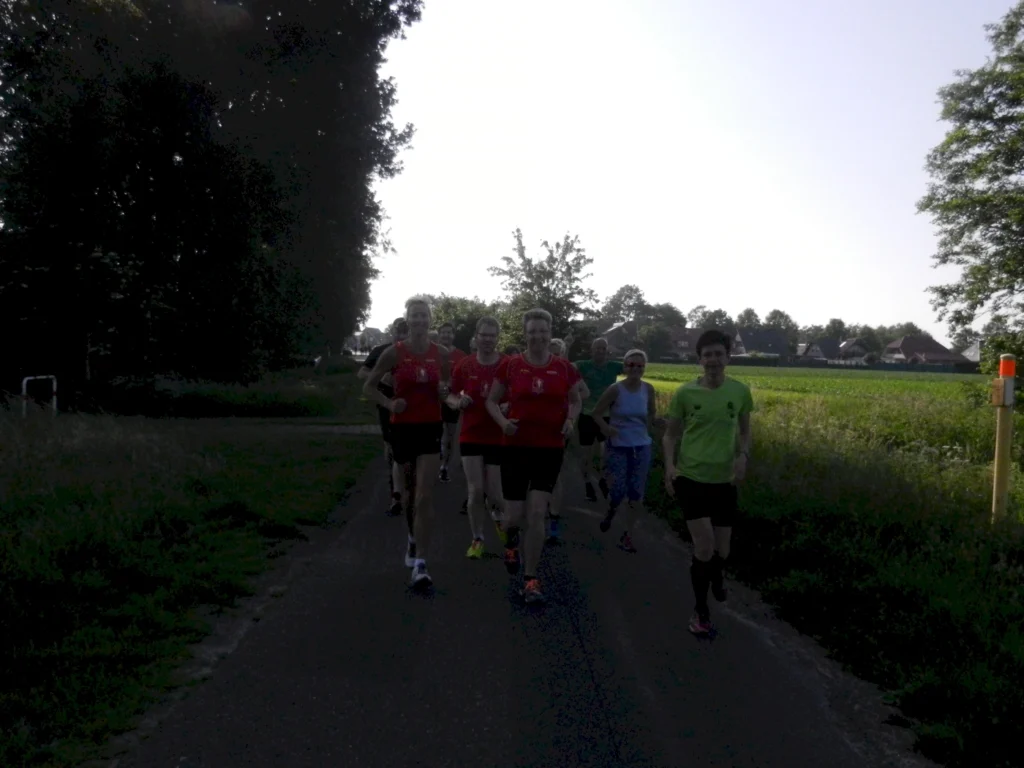 Gruppe von Joggern auf einem ländlichen Weg, umgeben von Bäumen und Feldern, bei sonnigem Wetter.