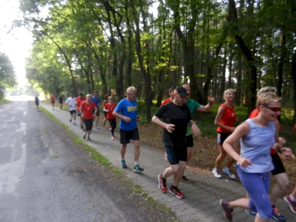 Gruppe von Menschen joggt auf einem Waldweg bei Tageslicht, energetische Atmosphäre unter Bäumen.