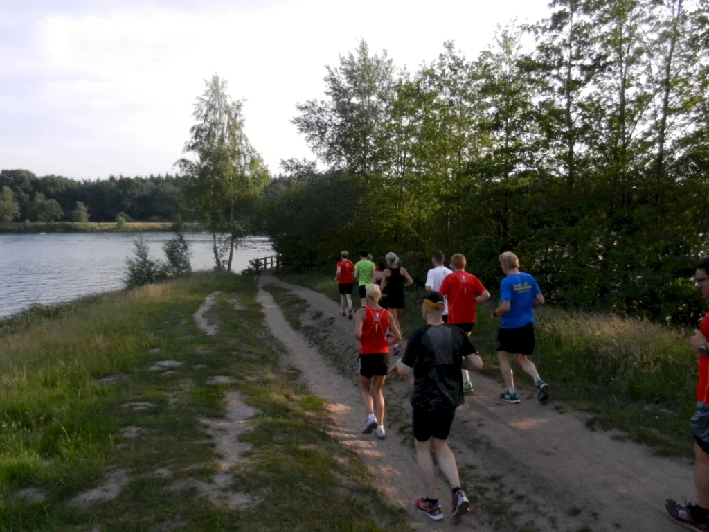Gruppe joggt entlang einem Seeuferpfad im Grünen bei sonnigem Wetter. Ideal für Laufen und Naturgenuss.