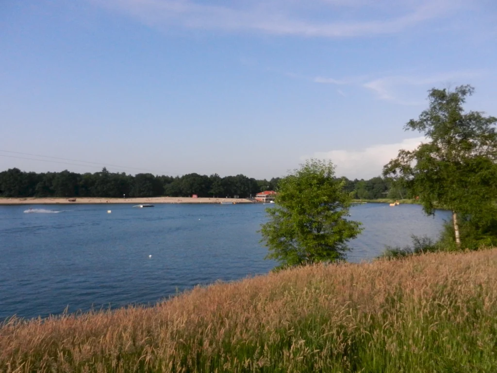 Idyllische Landschaft mit einem ruhigen Gewässer, umgeben von Bäumen und hohem Gras. Im Hintergrund sind Freizeitaktivitäten wie Wassersport zu sehen, während der Himmel klar und blau ist. Ideal für Natur- und Outdoor-Enthusiasten.