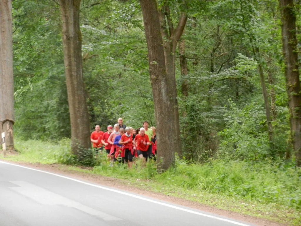 Gruppe von Läufern in roten T-Shirts joggt auf Waldweg nahe einer Landstraße, umgeben von Bäumen und grünem Laub.
