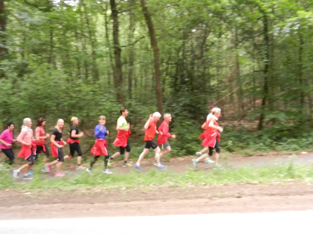 Gruppe von Menschen joggt im Wald auf einem Pfad, umgeben von grüner Natur, alle tragen sportliche Kleidung.