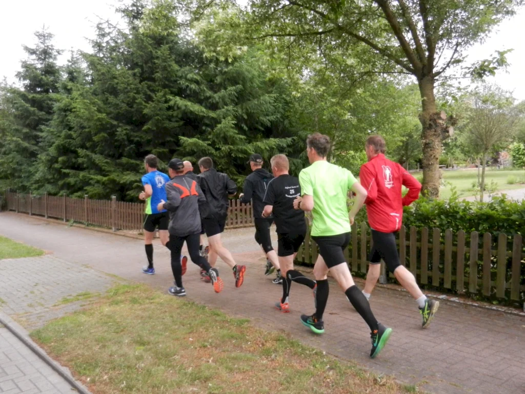 Eine Gruppe von Läufern joggt auf einem Waldweg bei Tag, umgeben von dichten Bäumen und einem Holzzaun.
