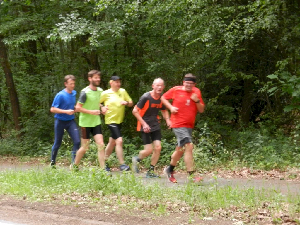 Fünf Männer joggen zusammen auf einem Waldweg, lächelnd und in bunter Sportkleidung, umgeben von grünen Bäumen.