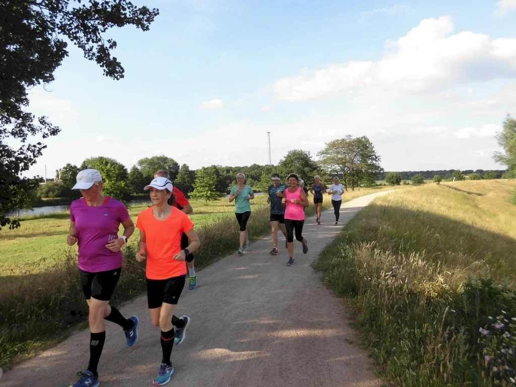 Gruppe von Menschen joggt auf einem sonnenbeschienenen Weg durch die Natur, mit Bäumen und Wiese im Hintergrund.