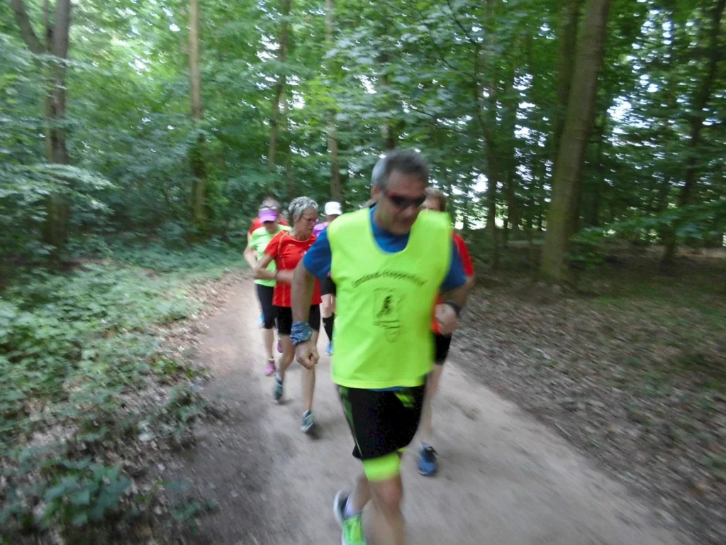Gruppe von Läufern im Wald auf einem Pfad, tragen bunte Sportkleidung, dynamisches Outdoor-Training im Grünen.