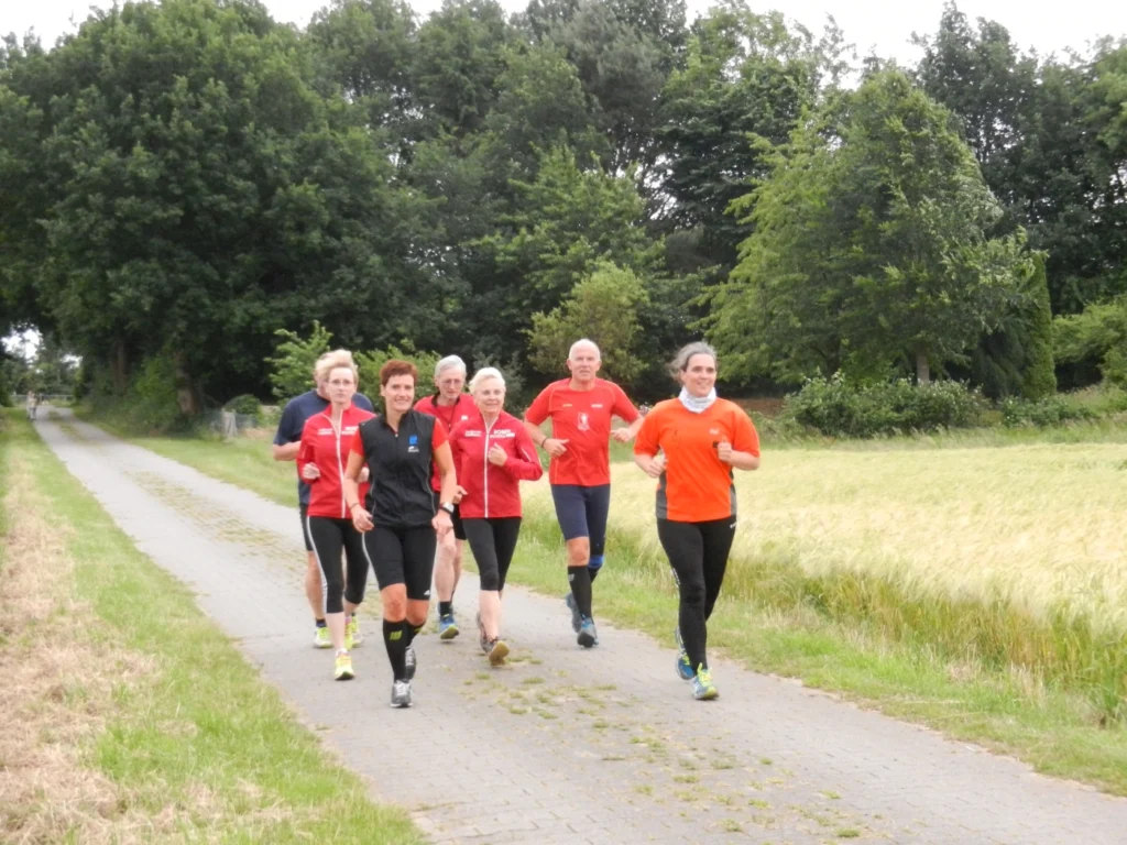 Gruppe von sechs Läufern in Sportkleidung, die auf einem gepflasterten Weg durch eine grüne Landschaft joggen. Im Hintergrund sind Bäume und ein Feld zu sehen, was eine aktive und gesunde Lebensweise symbolisiert.