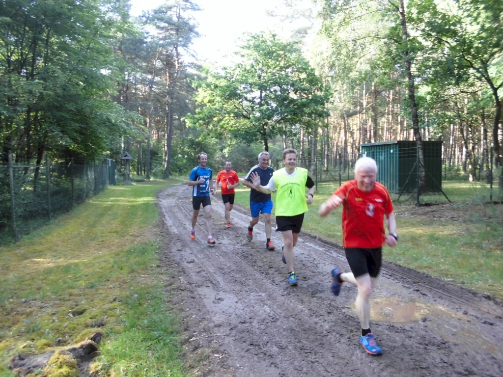 Gruppe von Läufern in bunten Shirts joggt auf einem Waldweg bei sonnigem Wetter. Sport und Natur, Outdoor-Aktivität.