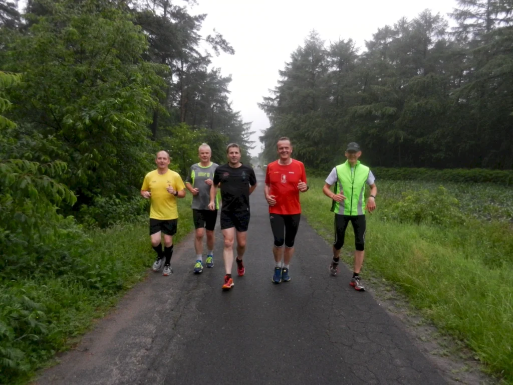 Gruppe von fünf Läufern, die bei nebligem Wetter auf einem Waldweg joggen. Sie tragen sportliche Kleidung und genießen die frische Luft umgeben von grüner Natur.