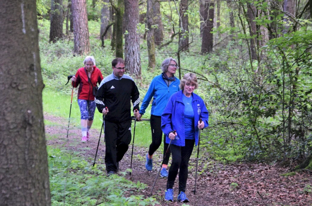Gruppe von vier Personen beim Nordic Walking in einem Wald, umgeben von grünen Bäumen und Pflanzen. Sie tragen sportliche Kleidung und nutzen Wanderstöcke.