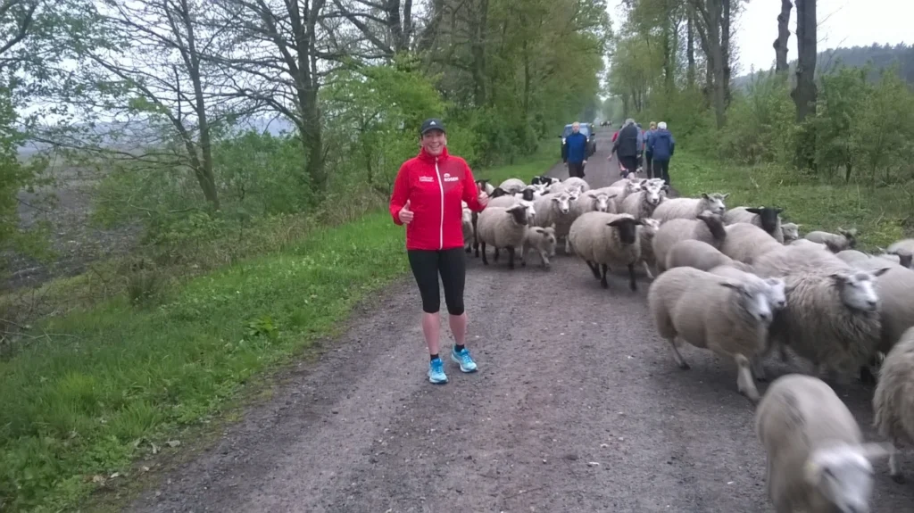 Eine Frau in roter Jacke steht auf einem Schotterweg und gibt einen Daumen hoch, während eine Herde von Schafen an ihr vorbeiläuft. Im Hintergrund sind weitere Personen zu sehen, die den Weg entlanggehen, umgeben von Bäumen und grüner Vegetation.