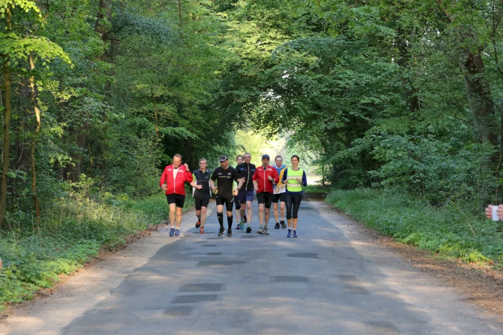 Gruppe von Läufern, die auf einem Waldweg joggen, umgeben von üppigem Grün und Bäumen. Ideal für Lauftraining und Freizeitsport im Freien.