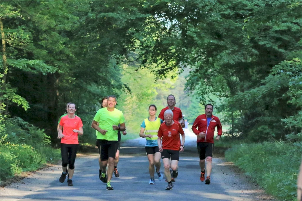 Gruppe von sieben Läufern in bunten Sportoutfits joggt auf einem Waldweg, umgeben von grüner Natur und Bäumen.