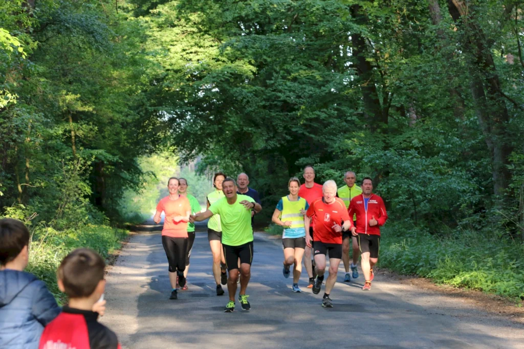Eine Gruppe von Läufern in bunten Sportoutfits joggt fröhlich auf einem Waldweg, umgeben von grüner Natur und Bäumen.