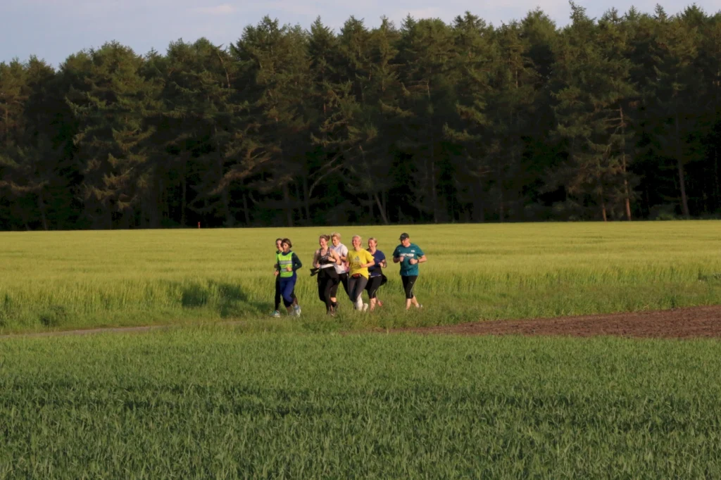 Gruppe von Frauen beim Joggen in einem grünen Feld mit Bäumen im Hintergrund, ideal für Fitness- und Laufveranstaltungen.