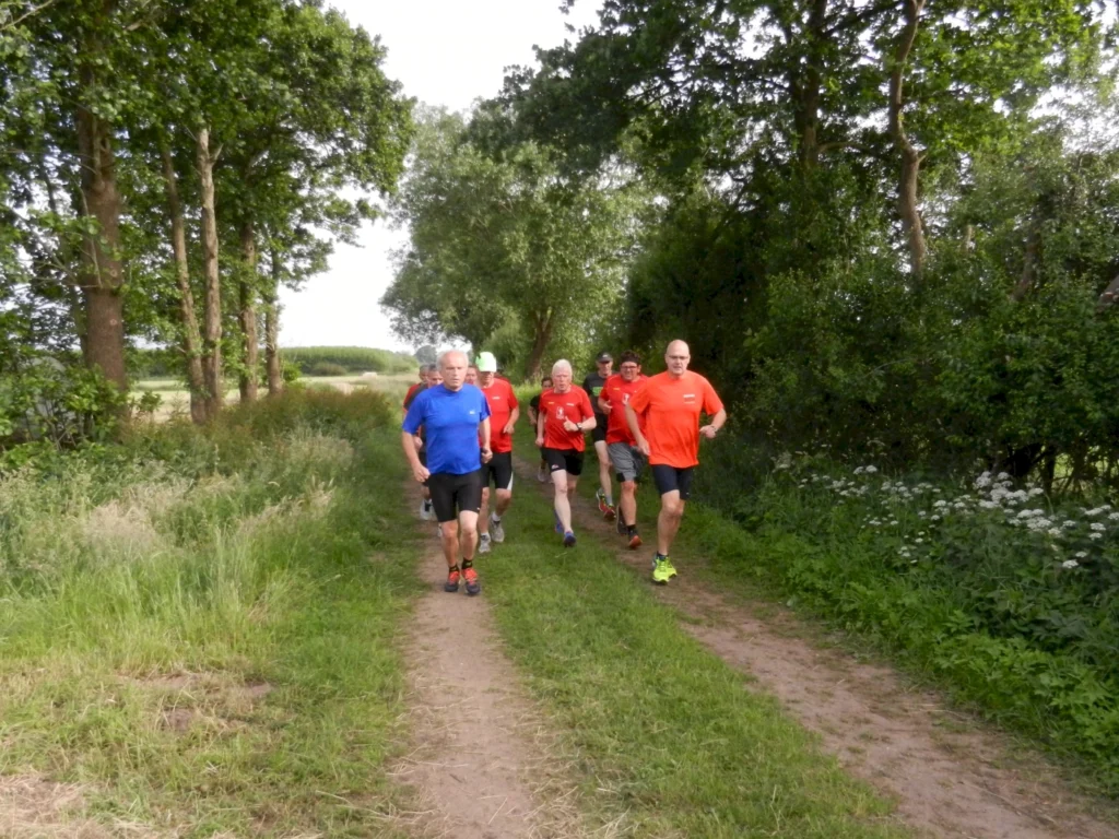 Gruppe von Läufern in roten und blauen Shirts, die auf einem schmalen Weg durch eine grüne Landschaft joggen, umgeben von Bäumen und Sträuchern. Ideal für Themen wie Fitness, Laufen und Outdoor-Aktivitäten.