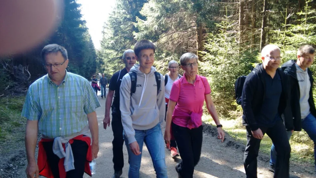 Gruppe von Wanderern auf einem Waldweg, umgeben von Bäumen, die gemeinsam die Natur genießen. Die Teilnehmer tragen sportliche Kleidung und Rucksäcke, während sie in einer freundlichen Atmosphäre unterwegs sind.