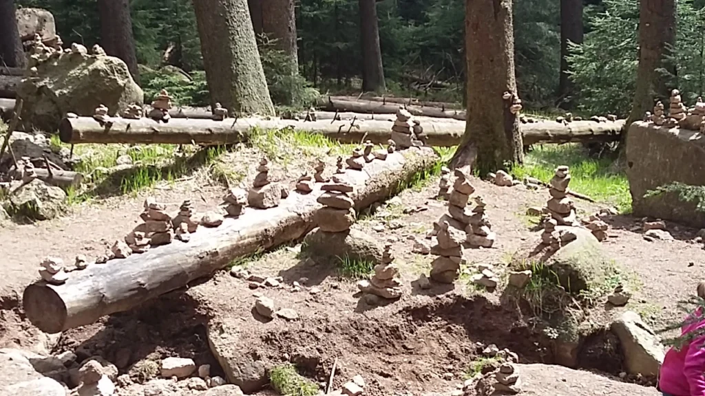 Steinmännchen in einem Waldgebiet, angeordnet auf Baumstämmen und im Boden, umgeben von Bäumen und Grünflächen. Ideal für Naturfotografie und Wanderer.