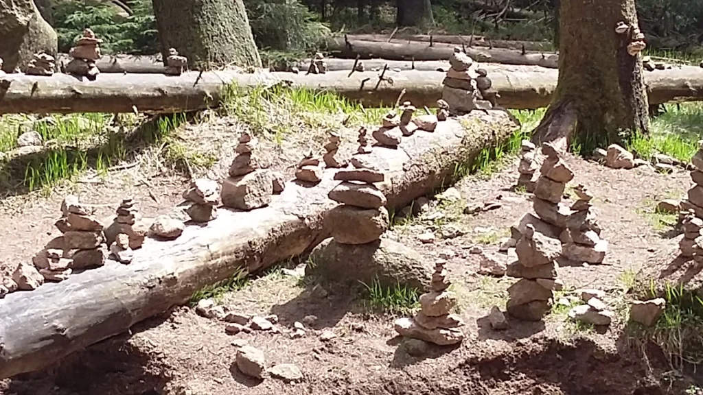 Steinmännchen in einem Waldgebiet, die aus kleinen Felsen auf einem Baumstamm und dem Boden errichtet wurden, umgeben von Gras und Bäumen.