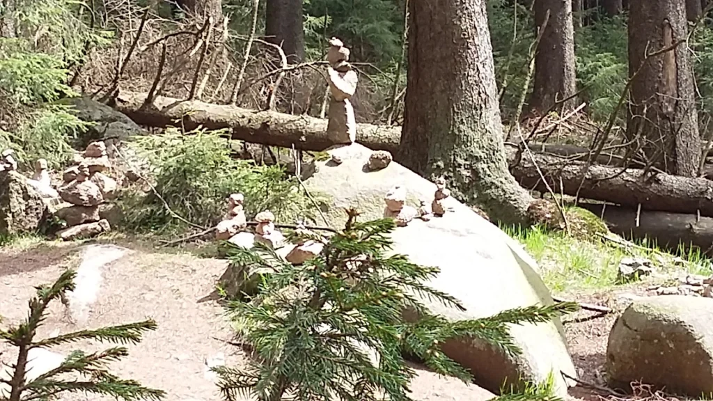 Steinmännchen und Natur im Wald: Ein Bild zeigt mehrere kunstvoll aufeinander gestapelte Steine in einem sonnigen Waldgebiet, umgeben von Bäumen und grünen Pflanzen.