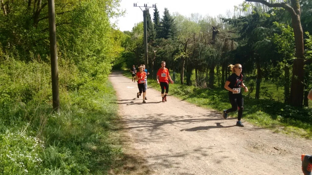 Läufer in roten und schwarzen Trikots nehmen an einem Wettlauf auf einem schmalen, von Bäumen gesäumten Weg teil. Die Szene zeigt eine grüne, natürliche Umgebung und strahlenden Sonnenschein, ideal für Outdoor-Sportveranstaltungen.
