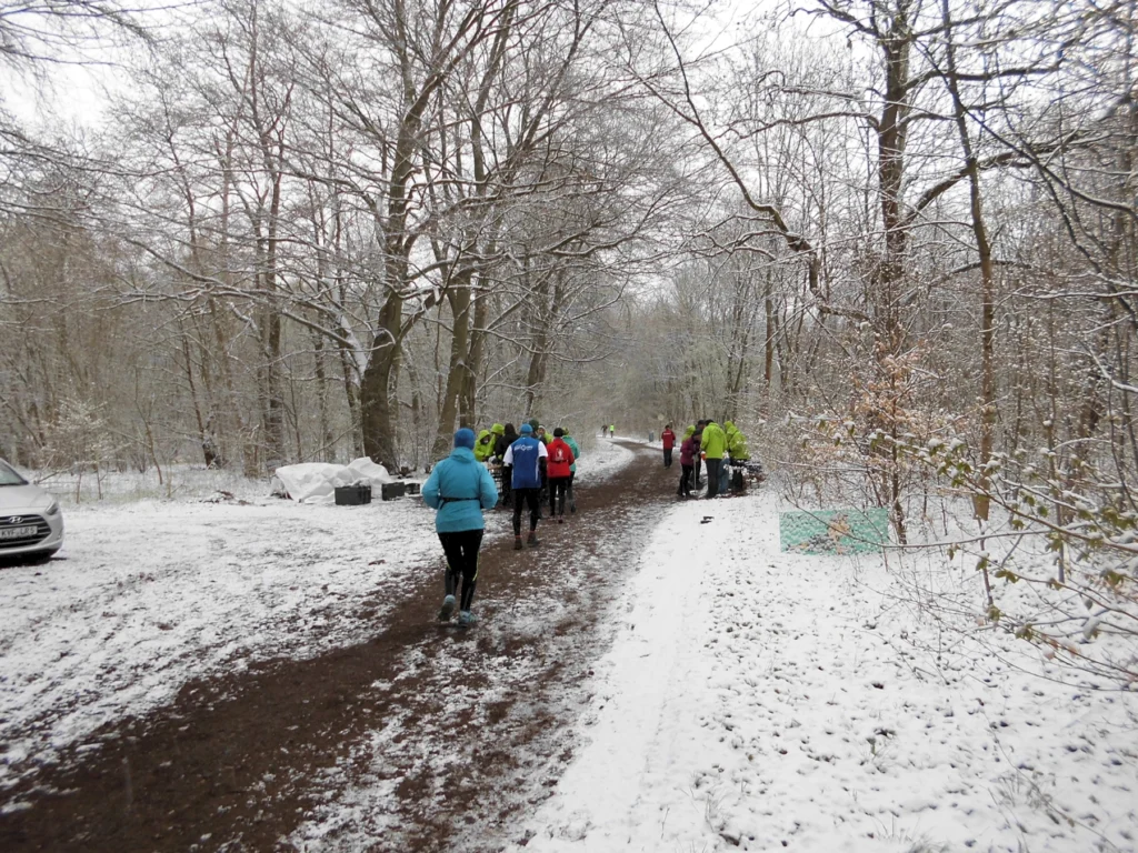 Menschen joggen auf einem verschneiten Waldweg, Bäume sind winterlich kahl, einige Personen tragen bunte Outdoor-Kleidung.