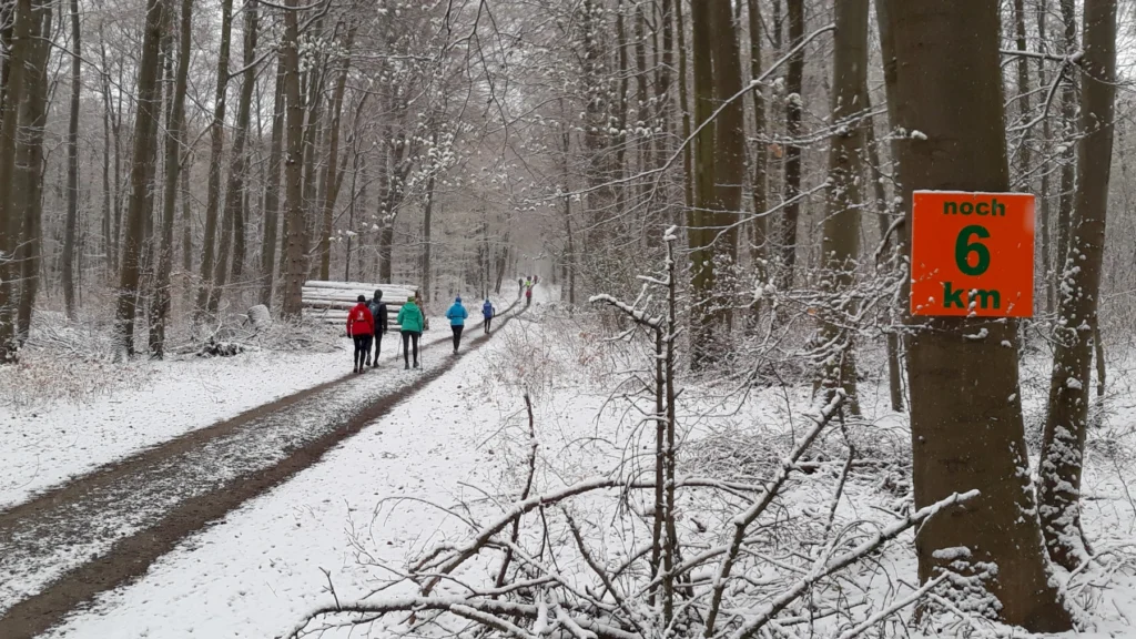 Gruppe joggt durch verschneiten Wald, während 6-km-Schild am Baum hängt. Weg von Schnee bedeckt, Winterlandschaft.