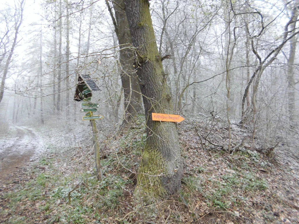 Waldweg im Winter mit Wegweiser nach Kyffhäuser-Berglauf und weiteren Zielen. Leichter Schneefall bedeckt den Boden.