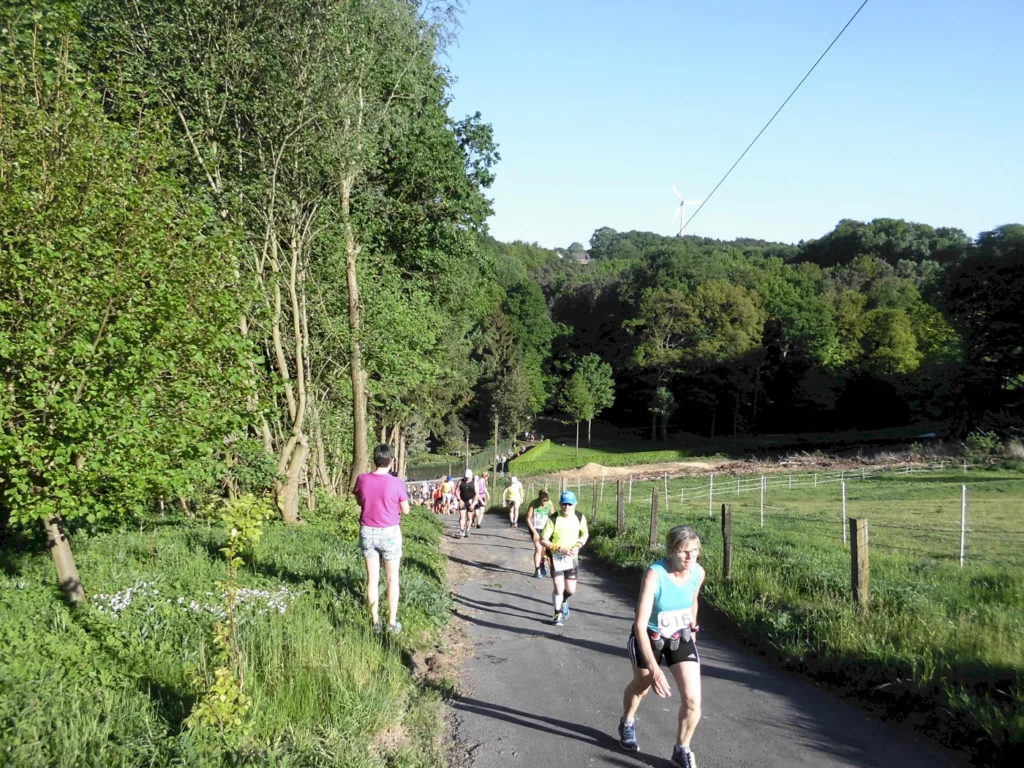 Läufer nehmen an einem Wettkampf auf einem malerischen Weg in der Natur teil, umgeben von Bäumen und grünem Gras, mit Windrädern im Hintergrund.