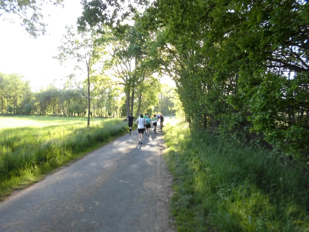 Läufer auf einem schmalen Weg umgeben von Bäumen und Wiesen, ideal für Outdoor-Aktivitäten und Fitness.