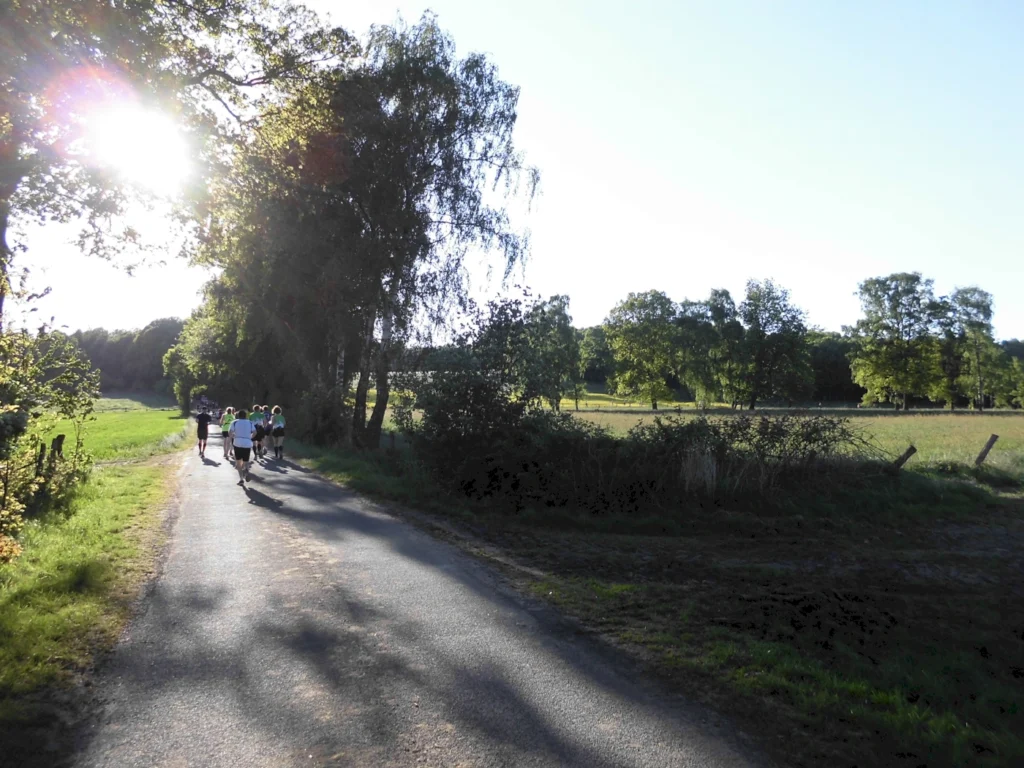 Läufer auf einem malerischen Weg in der Natur, umgeben von Bäumen und Wiesen, bei sonnigem Wetter.