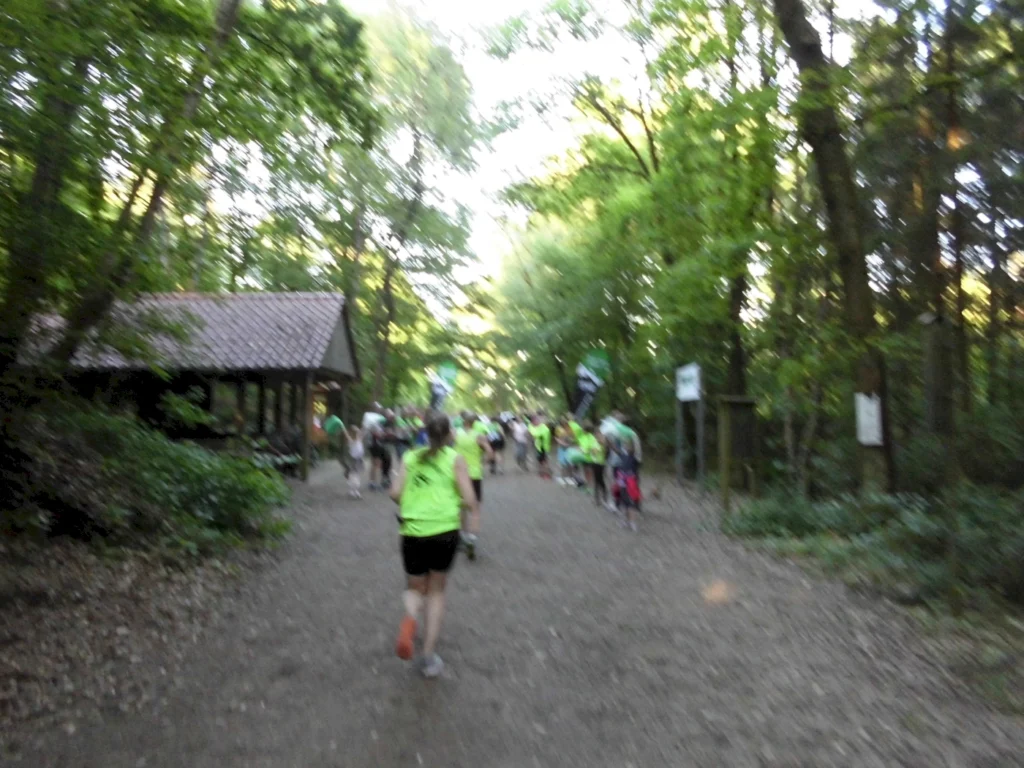 Gruppenausflug im Wald mit Teilnehmern in leuchtend grünen Shirts, die auf einem schmalen Pfad gehen. Im Hintergrund ist eine Überdachung zu sehen, umgeben von Bäumen und Natur.