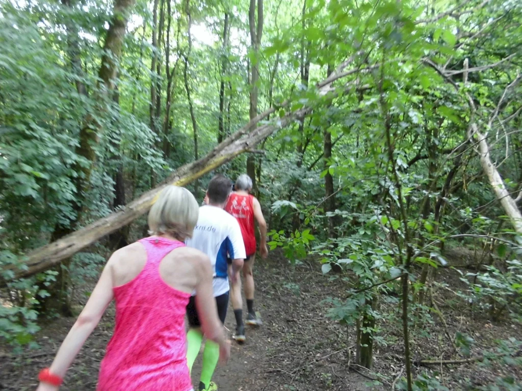 Gruppe von Läufern auf einem schmalen Waldweg, umgeben von dichtem Grün und Bäumen, während sie einen umgestürzten Baum umgehen.